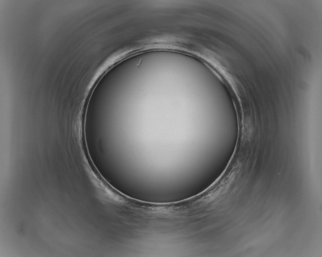 X0000112501341200908171301