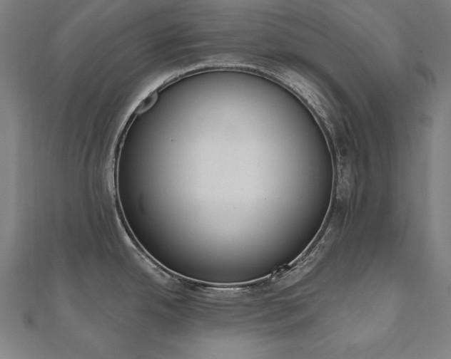 X0000112501342200908171301
