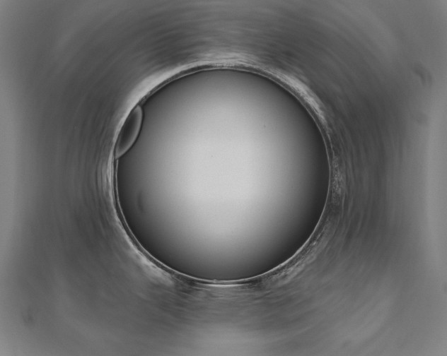 X0000112501343200908171301