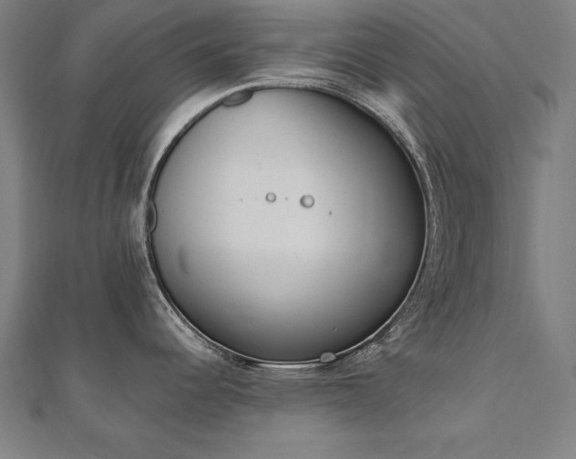 X0000112501344200908171301