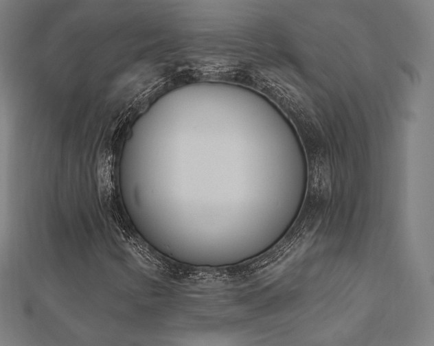 X0000112501346200908171300