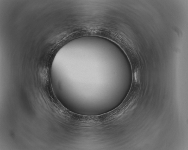 X0000112501347200908171300