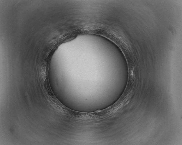 X0000112501348200908171300