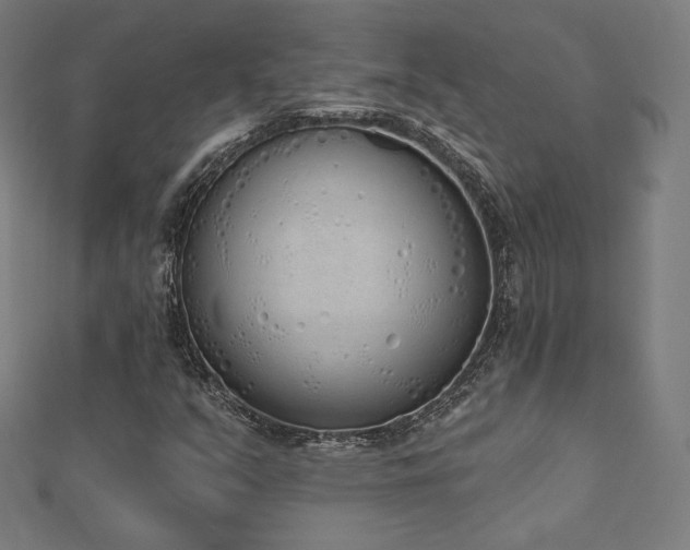 X0000112501351200908171300