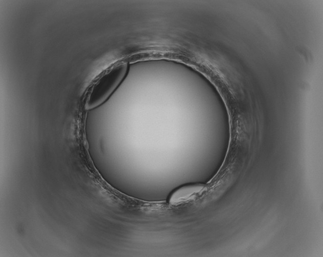 X0000112501352200908171300