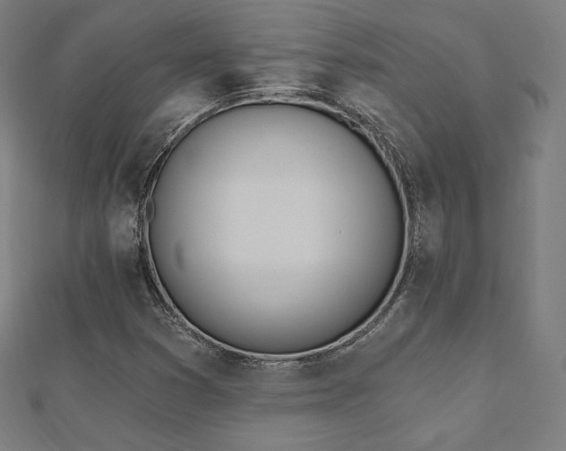 X0000112501353200908171300