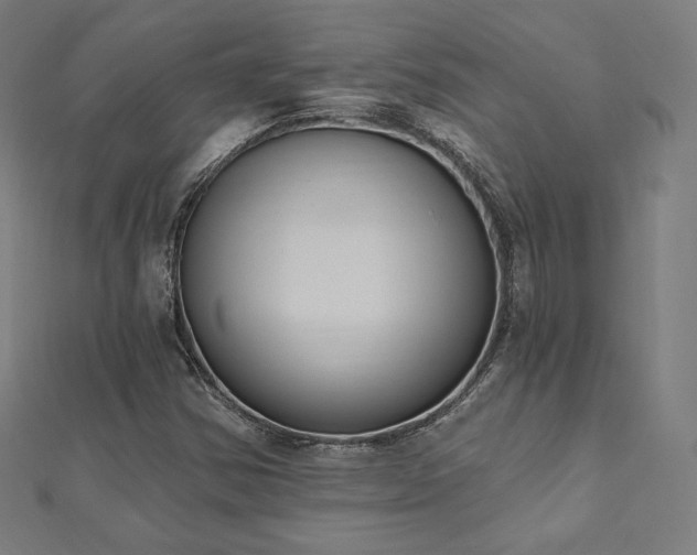 X0000112501354200908171300