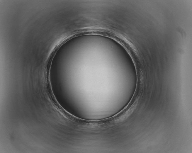 X0000112501357200908171300