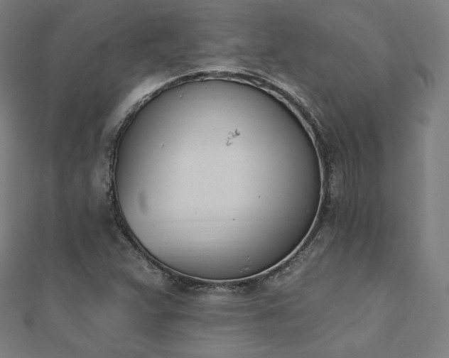 X0000112501359200908171300