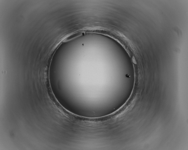 X0000112501361200908171300