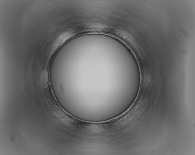 X0000112501362200908171300
