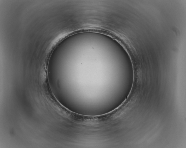 X0000112501363200908171300