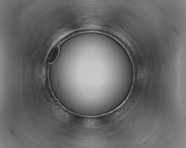 X0000112501364200908171300