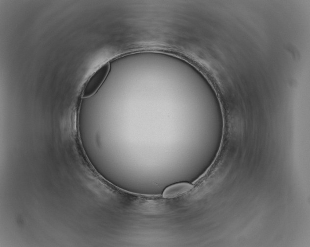 X0000112501365200908171300