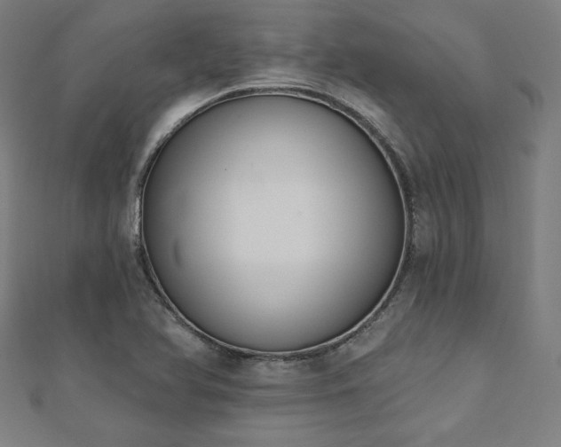 X0000112501366200908171300