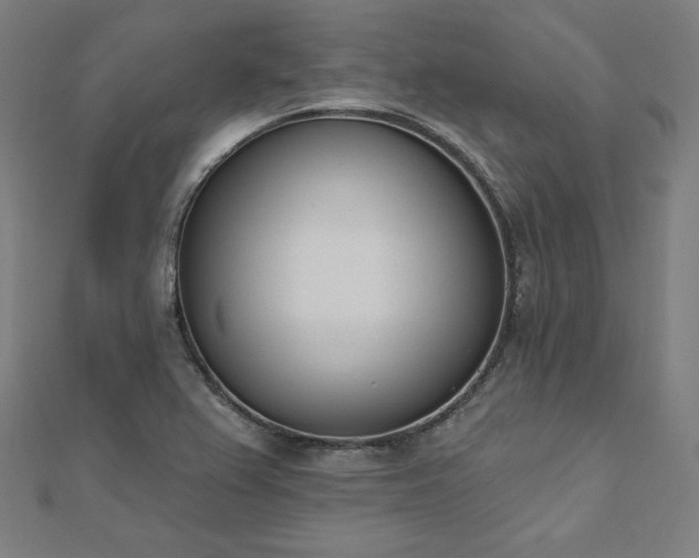 X0000112501367200908171300
