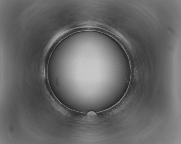 X0000112501368200908171300