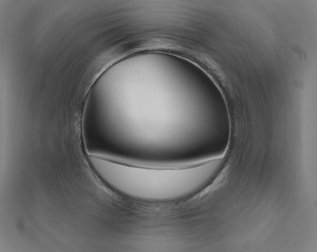 X0000112501369200908171300