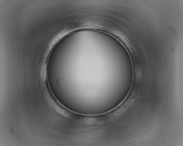 X0000112501371200908171300