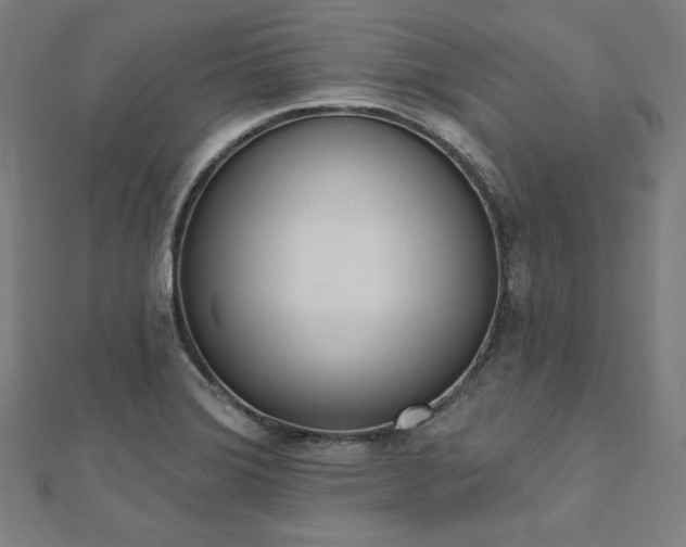 X0000112501372200908171300