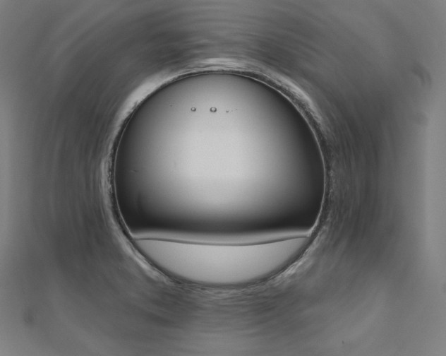 X0000112501373200908171300
