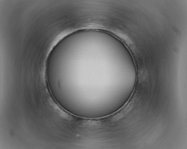 X0000112501374200908171300
