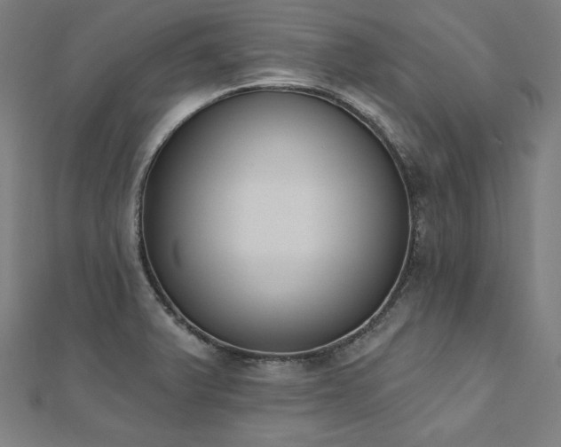 X0000112501375200908171300