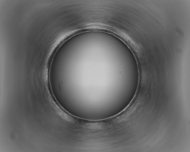 X0000112501376200908171300