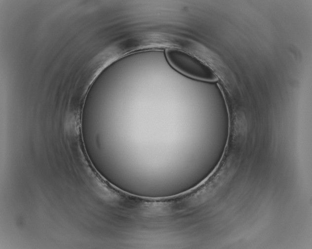 X0000112501377200908171300