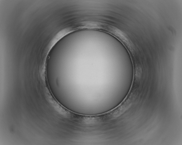 X0000112501378200908171300