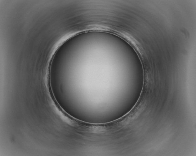 X0000112501379200908171300