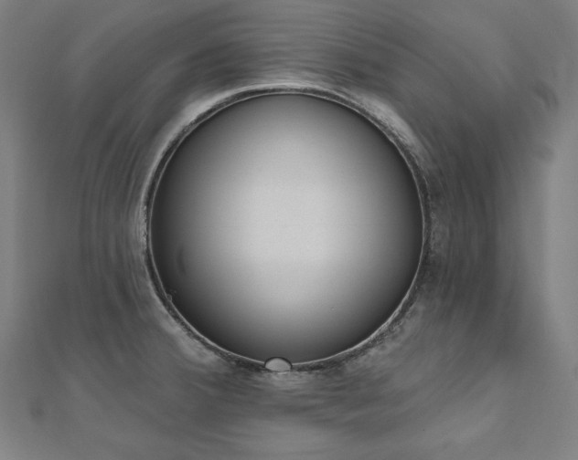 X0000112501380200908171300