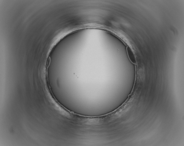 X0000112501381200908171300