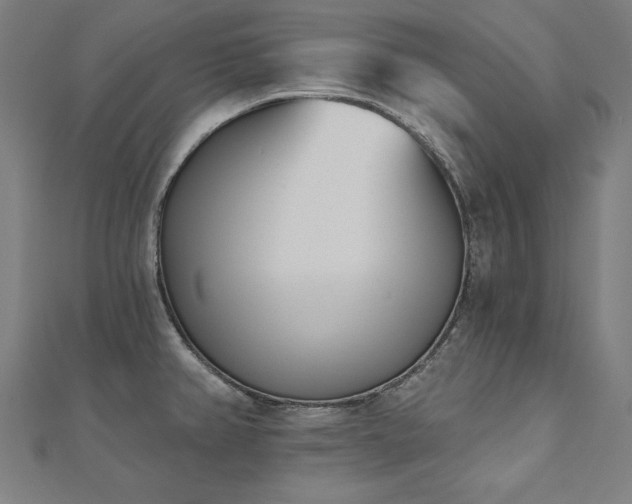 X0000112501382200908171300