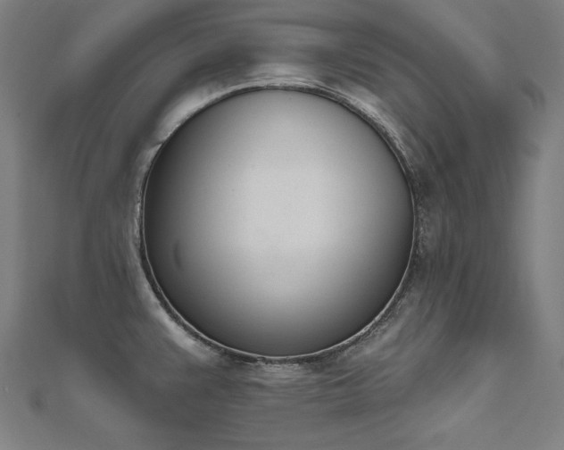X0000112501383200908171300