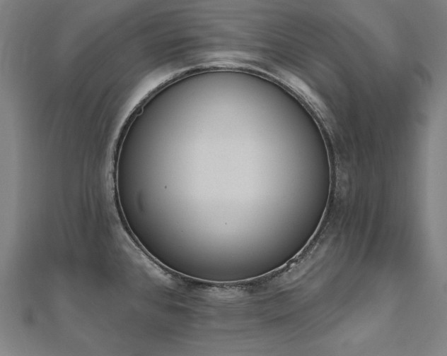 X0000112501384200908171300
