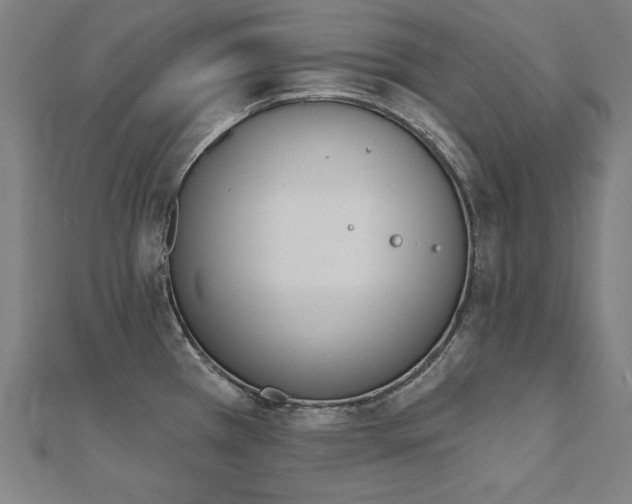 X0000112501385200908171300