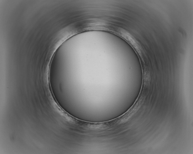 X0000112501386200908171300