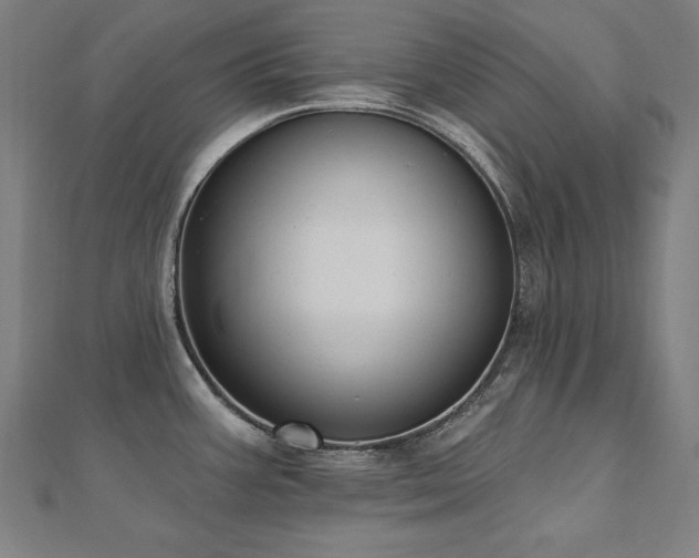 X0000112501387200908171300