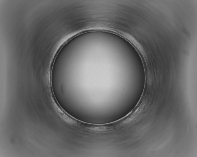 X0000112501388200908171300