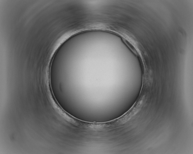 X0000112501389200908171300