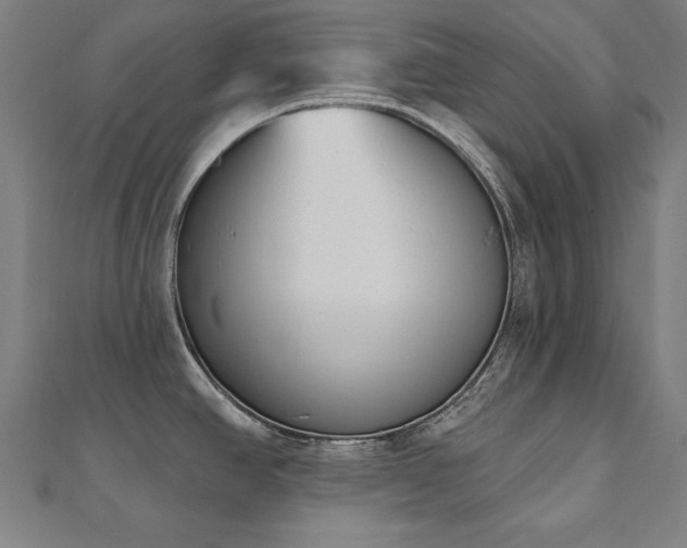 X0000112501390200908171300