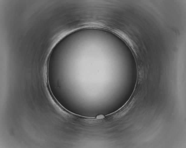 X0000112501391200908171300