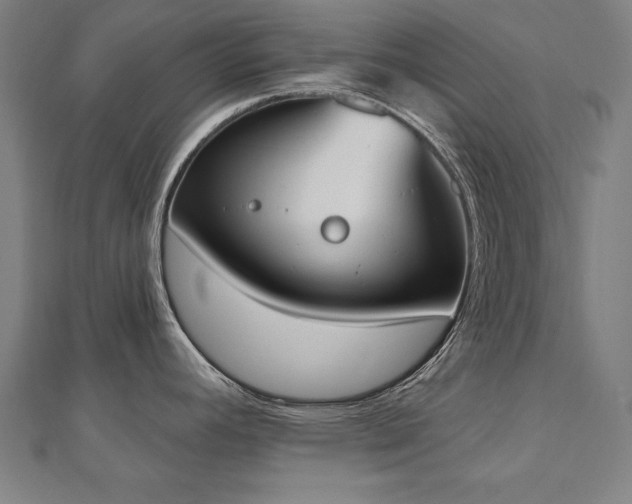 X0000112501392200908171300
