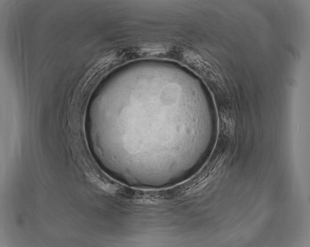 X0000112501393200908171259