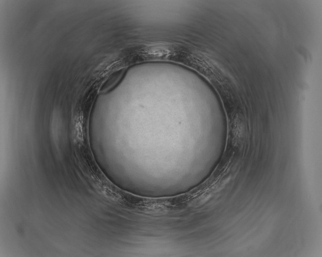 X0000112501394200908171259