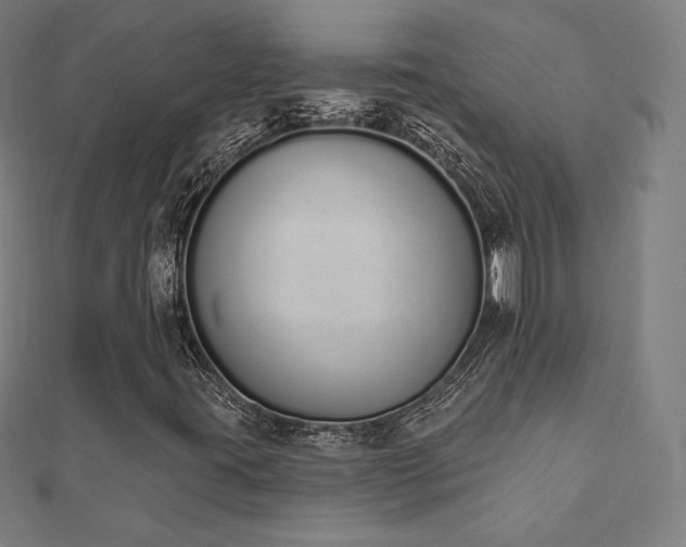 X0000112501395200908171259