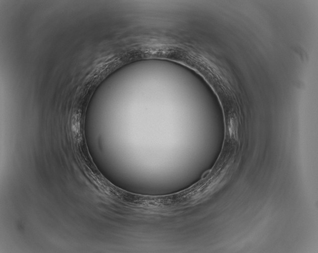 X0000112501396200908171259