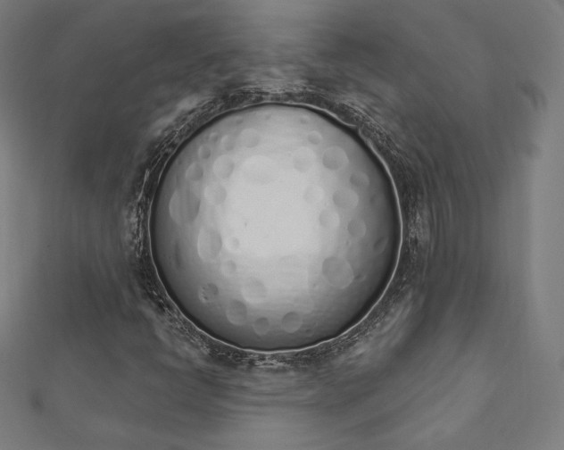 X0000112501398200908171259