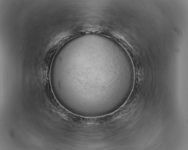 X0000112501399200908171259